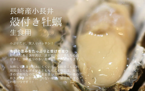 殻付き牡蠣 生食用 小長井産 中サイズ 10個 長崎 真牡蠣 豊洲直送【小長井牡蠣x10個】 冷蔵