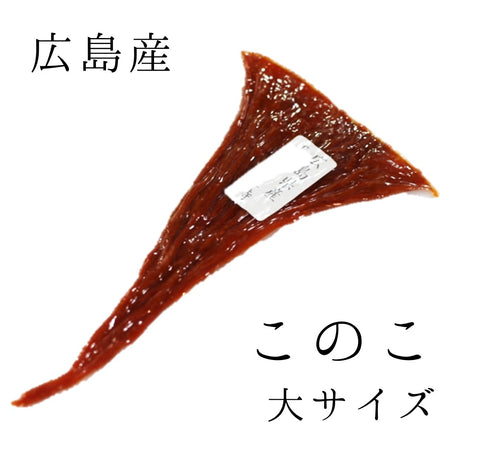 干しこのこ 1枚(約20~30g)高級珍味 ギフト 贈答用 【大干しこの子】バチコ クチコ バチ子 くち子 冷凍