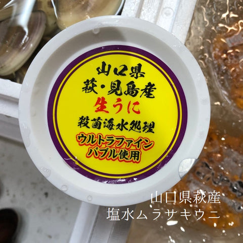 塩水 黒ウニ 山口県萩産 100g ムラサキウニ 【山口萩-塩水黒ウニ100g】冷蔵 豊洲直送