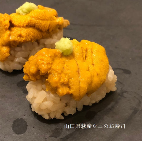 塩水 黒ウニ 山口県萩産 100g ムラサキウニ 【山口萩-塩水黒ウニ100g】冷蔵 豊洲直送