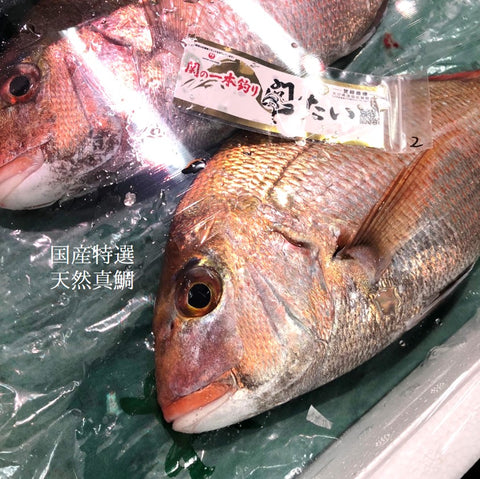 特選 天然マダイ 淡路島・大分・愛知・鹿児島出水産など 1尾1-2kgサイズ【テンタイ】冷蔵 豊洲直送 真鯛 桜鯛