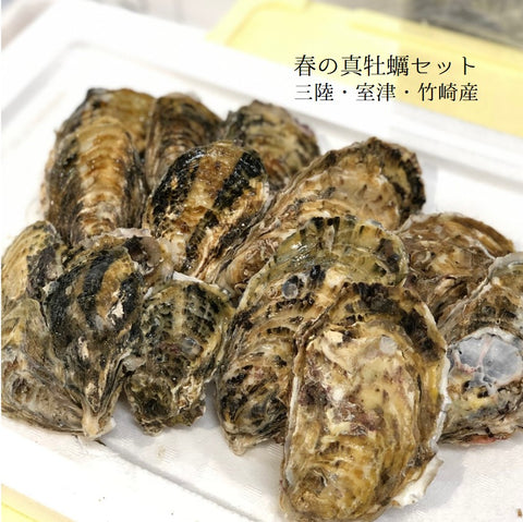 春の真牡蠣セット(殻付き牡蠣 生食用カキ)3種各5個計15個セット(三陸米崎・室津・竹崎)豊洲の目利き厳選 【春の牡蠣セット】冷蔵