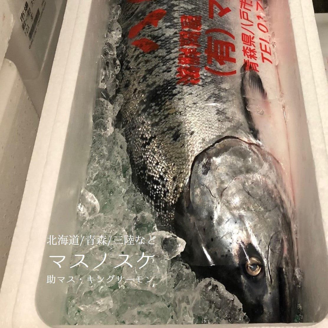 鮭 サーモン キングサーモン 天然 刺身用 天然キングサーモン 約600g