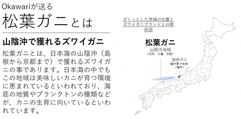 最高級 松葉ガニ | ボイル | ズワイガニ | 津居山カニ 兵庫県産 冷蔵 産地直送