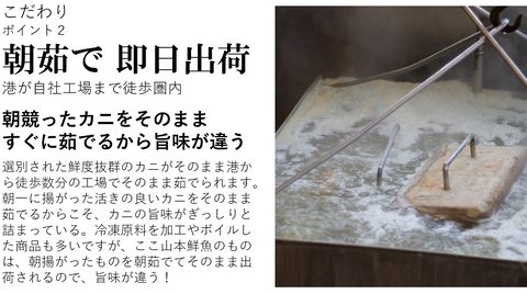 最高級 松葉ガニ | ボイル | ズワイガニ | 津居山カニ 兵庫県産 冷蔵 産地直送