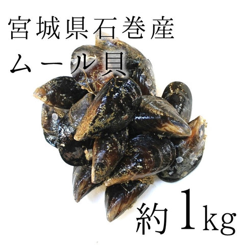 ムール貝 中サイズ 三陸産(宮城産 他) 計1kg1個20/30g前後 【国産ムール貝1kg】冷蔵 豊洲直送