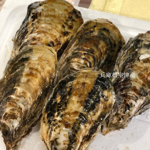 春の真牡蠣セット(殻付き牡蠣 生食用カキ)3種各5個計15個セット(三陸米崎・室津・竹崎)豊洲の目利き厳選 【春の牡蠣セット】冷蔵