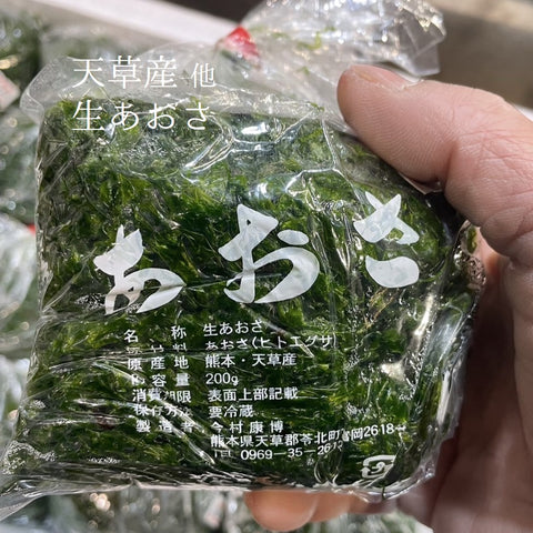 生 あおさ 200g 熊本県天草産 他【生アオサ200g】冷蔵 豊洲直送