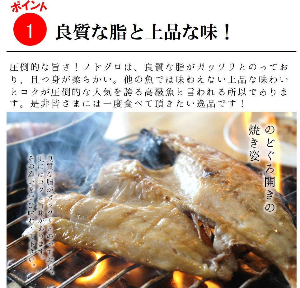 高級干物 のどぐろの開き 贈答用 特大サイズ200-250g x2尾 下関産 ギフト 【ノドグロ200gx2尾】 冷凍 アカムツ 赤睦