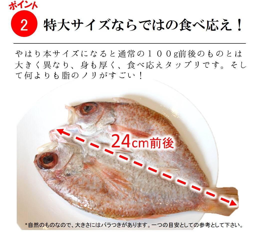 高級干物 のどぐろの開き 贈答用 特大サイズ200-250g x2尾 下関産 ギフト 【ノドグロ200gx2尾】 冷凍 アカムツ 赤睦