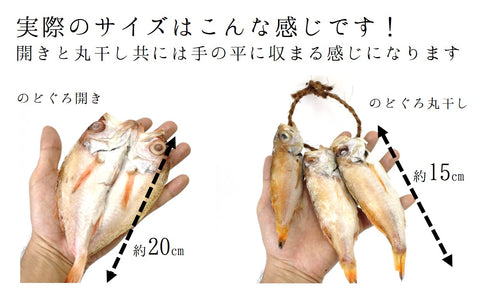 高級干物 のどぐろ 詰め合わせセット 小サイズ計5尾/300g 下関産/韓国産 贈答用 【ノドグロセット】 冷凍 喉黒 ギフト プレゼント