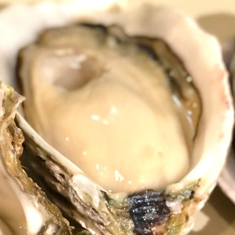 生 岩牡蠣 隠岐の島 5個 殻付き 生食用 Sサイズ【隠岐岩牡蠣5個】冷蔵 豊洲市場