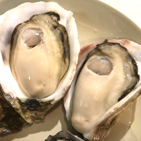 生 岩牡蠣 隠岐の島 5個 殻付き 生食用 Sサイズ【隠岐岩牡蠣5個】冷蔵 豊洲市場