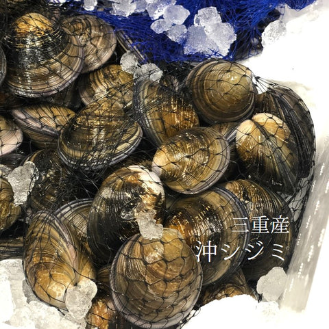 沖シジミ 三重産 1キロ 【沖蜆1K】冷蔵 豊洲直送 オキシジミ