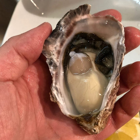 殻付き牡蠣 女川産 真牡蠣 生食用 約50-100g/個 計10個 真牡蠣 カキ かき【女川牡蠣x10個】 冷蔵 豊洲直送