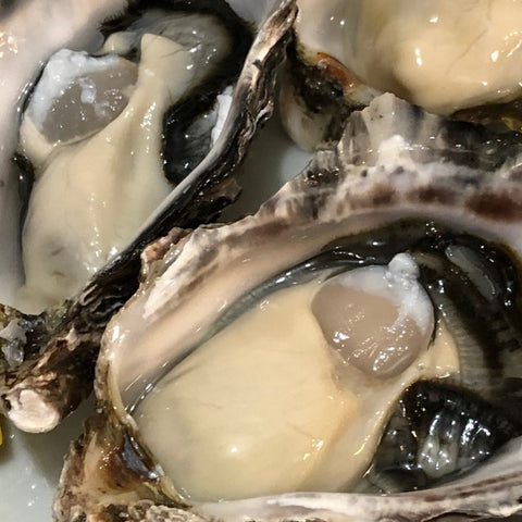 殻付き牡蠣 女川産 真牡蠣 生食用 約50-100g/個 計10個 真牡蠣 カキ かき【女川牡蠣x10個】 冷蔵 豊洲直送