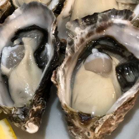 殻付き牡蠣 女川産 真牡蠣 生食用 約50-100g/個 計10個 真牡蠣 カキ かき【女川牡蠣x10個】 冷蔵 豊洲直送