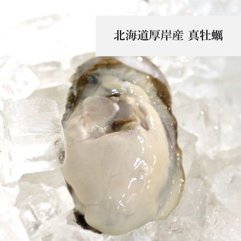 殻付き牡蠣 真牡蠣(生食用)産地食べ比べ お試しセット 計8個(4産地 x 各2個)北海道 三陸 兵庫 九州など 【お試し真牡蠣セット8個】冷蔵 豊洲直送