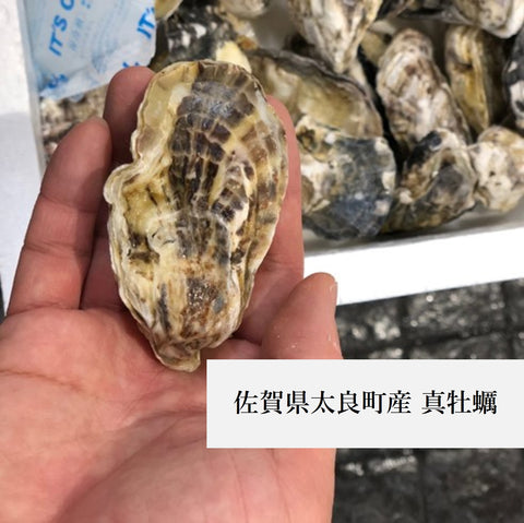 殻付き牡蠣 真牡蠣(生食用)産地食べ比べ お試しセット 計8個(4産地 x 各2個)北海道 三陸 兵庫 九州など 【お試し真牡蠣セット8個】冷蔵 豊洲直送