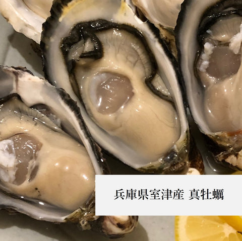 殻付き牡蠣 真牡蠣(生食用)産地食べ比べ お試しセット 計8個(4産地 x 各2個)北海道 三陸 兵庫 九州など 【お試し真牡蠣セット8個】冷蔵 豊洲直送