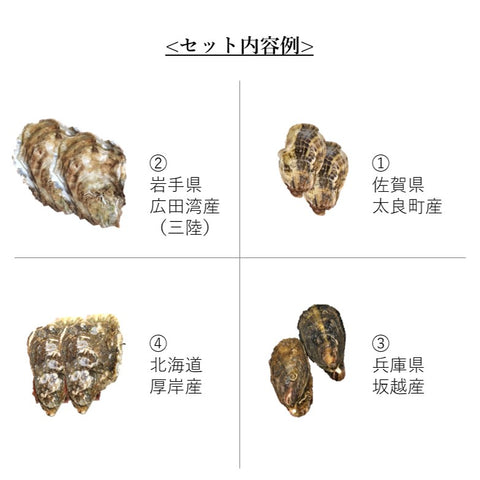 殻付き牡蠣 真牡蠣(生食用)産地食べ比べ お試しセット 計8個(4産地 x 各2個)北海道 三陸 兵庫 九州など 【お試し真牡蠣セット8個】冷蔵 豊洲直送
