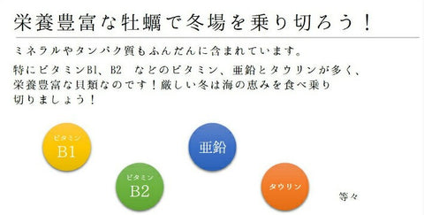 生牡蠣(加熱用)大サイズ!三陸産 他 牡蠣鍋 正味約500g(約12-15個)【加熱用牡蠣500g】 冷蔵