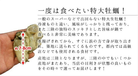生牡蠣(加熱用)大サイズ!三陸産 他 牡蠣鍋 正味約500g(約12-15個)【加熱用牡蠣500g】 冷蔵