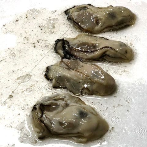 生牡蠣 加熱用 落とし牡蠣 ムキ牡蠣 三陸産 小サイズ 500g 【加熱用牡蠣500g(小)】