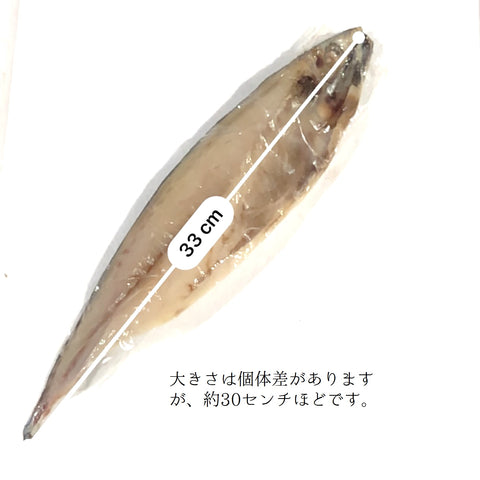 サバ文化干し 大サイズ 干物 ノルウェー産 5尾入 約1キロ分(1尾約200g)【特大鯖文化干し5尾】冷凍 豊洲直送 お徳用