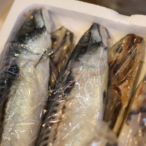 サバ文化干し 大サイズ 干物 ノルウェー産 5尾入 約1キロ分(1尾約200g)【特大鯖文化干し5尾】冷凍 豊洲直送 お徳用