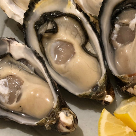 殻付き真牡蠣 兵庫県坂越産 10個 シングルシード製法 生食用【坂越産真牡蠣x10個】冷蔵 豊洲直送