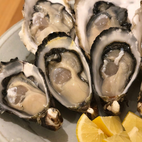 殻付き真牡蠣 兵庫県坂越産 10個 シングルシード製法 生食用【坂越産真牡蠣x10個】冷蔵 豊洲直送