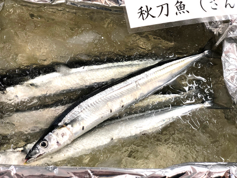 新サンマ 北海道産 計5尾(1尾140-160g前後サイズ)【秋刀魚5尾】冷蔵 豊洲市場