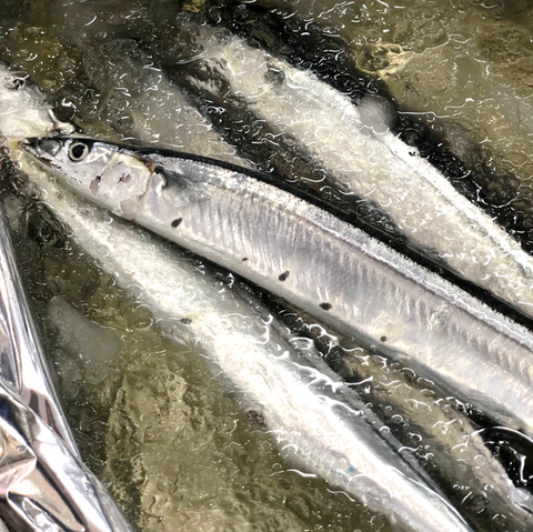 新サンマ 北海道産 計5尾(1尾140-160g前後サイズ)【秋刀魚5尾】冷蔵 豊洲市場
