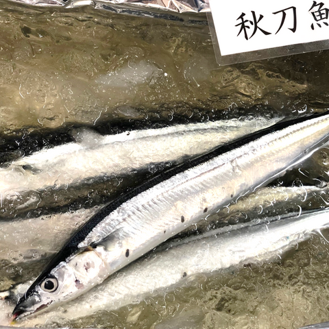 新サンマ 北海道産 計5尾(1尾140-160g前後サイズ)【秋刀魚5尾】冷蔵 豊洲市場