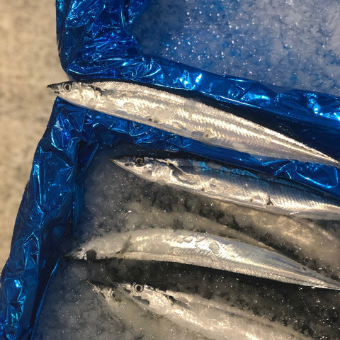 新サンマ 北海道産 計5尾(1尾140-160g前後サイズ)【秋刀魚5尾】冷蔵 豊洲市場