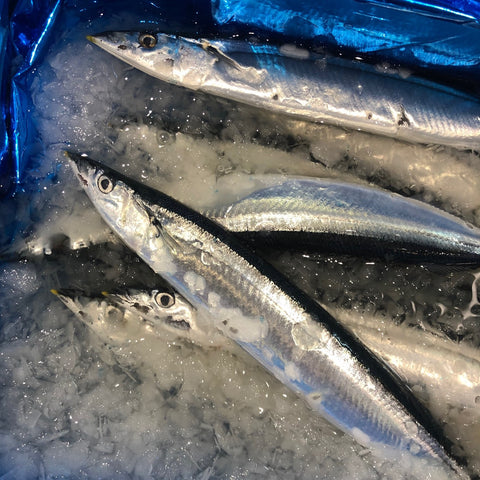 新サンマ 北海道産 計5尾(1尾140-160g前後サイズ)【秋刀魚5尾】冷蔵 豊洲市場