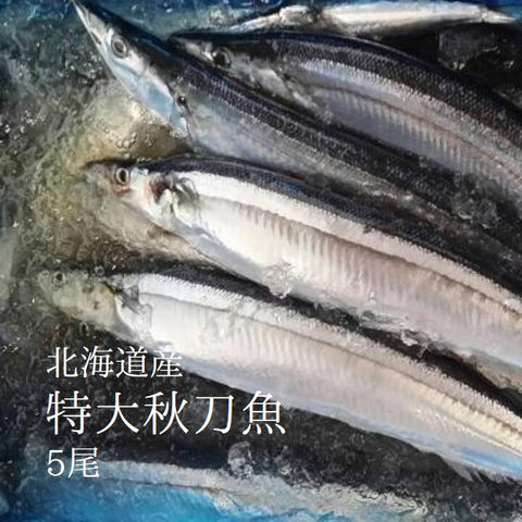 特大秋刀魚 1尾約180-200g サンマ 北海道産 豊洲直送 特大5尾 【特大さんま180g x5尾】 冷蔵