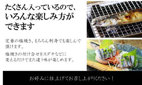 特大秋刀魚 1尾約180-200g サンマ 北海道産 豊洲直送 特大5尾 【特大さんま180g x5尾】 冷蔵