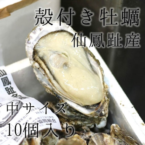 仙鳳趾産 殻付き牡蠣 生食用 中サイズ10個(1個約150-200g)豊洲直送 北海道産 カキ かき【仙鳳趾牡蠣140gx10個】 冷蔵