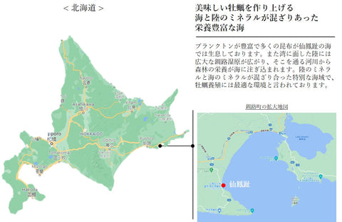 仙鳳趾産 殻付き牡蠣 生食用 中サイズ10個(1個約150-200g)豊洲直送 北海道産 カキ かき【仙鳳趾牡蠣140gx10個】 冷蔵