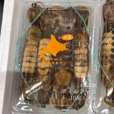 ボイルシャコ メス 北海道産 特大10尾入(約500g) ガザエビ【ボイル蝦蛄雌10尾入】冷蔵 豊洲直送