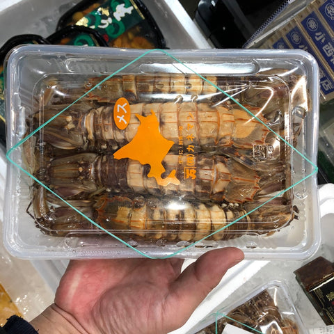 ボイルシャコ メス 北海道産 特大10尾入(約500g) ガザエビ【ボイル蝦蛄雌10尾入】冷蔵 豊洲直送