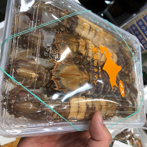ボイルシャコ メス 北海道産 特大10尾入(約500g) ガザエビ【ボイル蝦蛄雌10尾入】冷蔵 豊洲直送