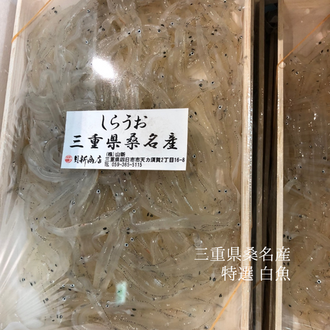 生 白魚 三重県 桑名産 200g(大)豊洲直送【桑名 白魚x1】冷蔵 しらうお シラウオ