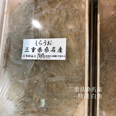 生 白魚 三重県 桑名産 200g（大）豊洲直送【桑名 白魚ｘ１】冷蔵 しらうお シラウオ