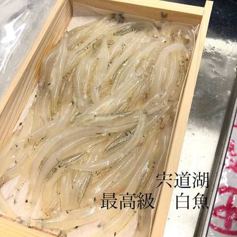 特大 白魚 島根 宍道湖産 200g 豊洲直送【特大白魚ｘ１】冷蔵 しらうお