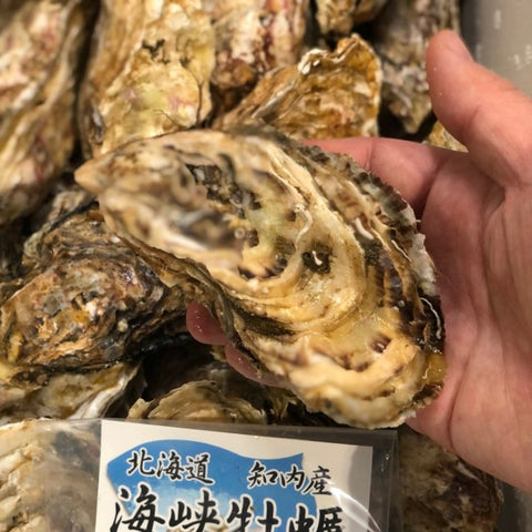 殻付き牡蠣 生食用 北海道知内産 中/小サイズ 10個 北海道 真牡蠣 海峡牡蠣 豊洲直送【知内牡蠣x10個】 冷蔵