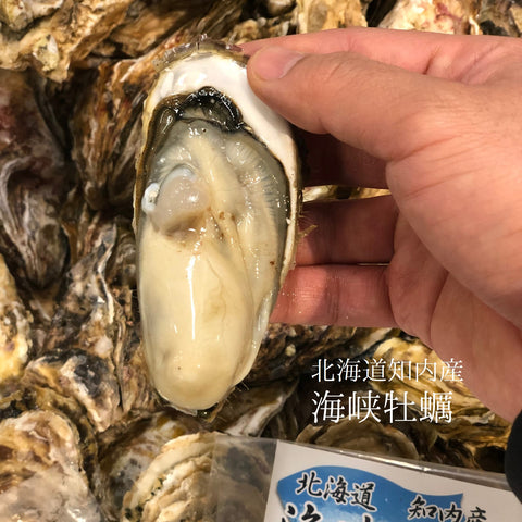 殻付き牡蠣 生食用 北海道知内産 中/小サイズ 10個 北海道 真牡蠣 海峡牡蠣 豊洲直送【知内牡蠣x10個】 冷蔵