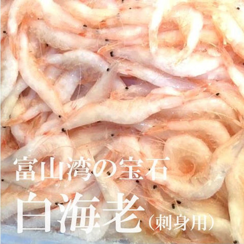 白エビ 白海老 富山産 殻付き 約200g 豊洲直送 【シロエビ200g】 冷凍 富山湾の宝石 シラエビ